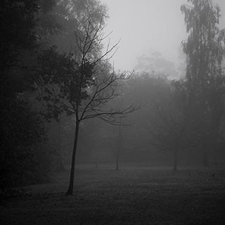 ID424 Mist by Nicholas M Vivian