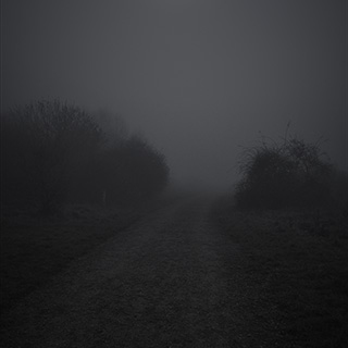ID592 Night Fog by Nicholas M Vivian