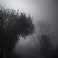 ID593 Night Fog by Nicholas m Vivian