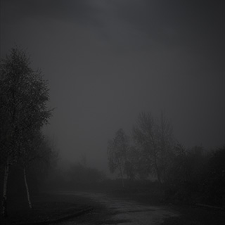 ID594 Night Fog by Nicholas M Vivian