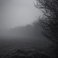 ID597 Night Fog by Nicholas m Vivian